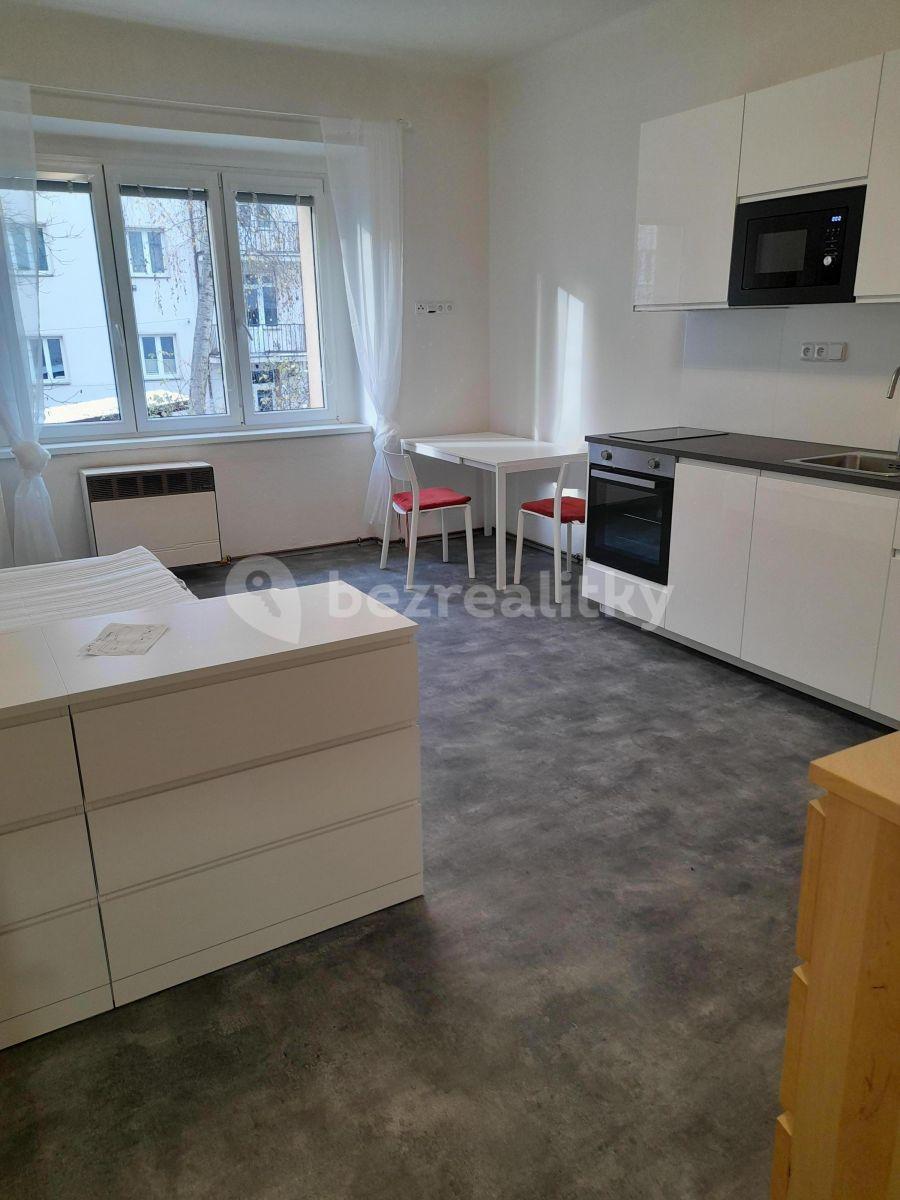 Small studio flat to rent, 30 m², Počátecká, Prague, Prague