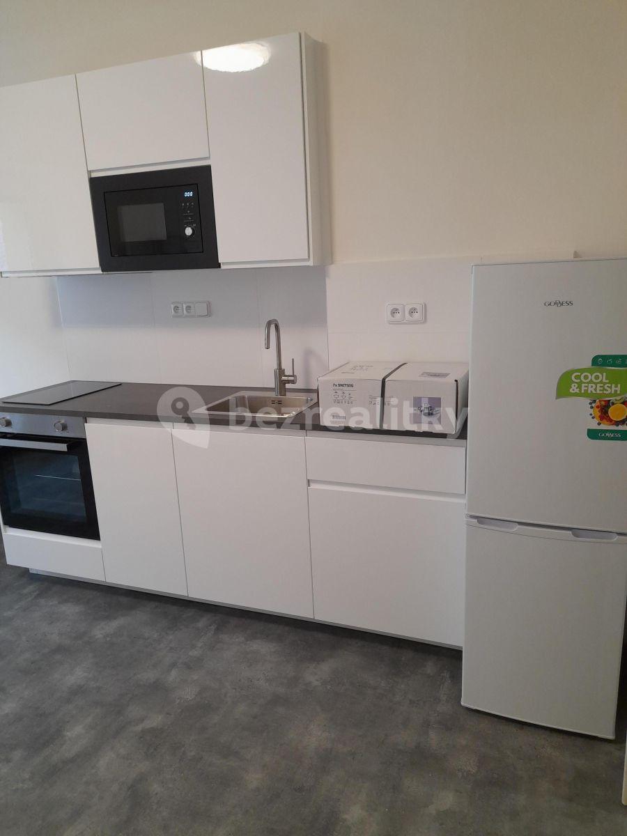 Small studio flat to rent, 30 m², Počátecká, Prague, Prague