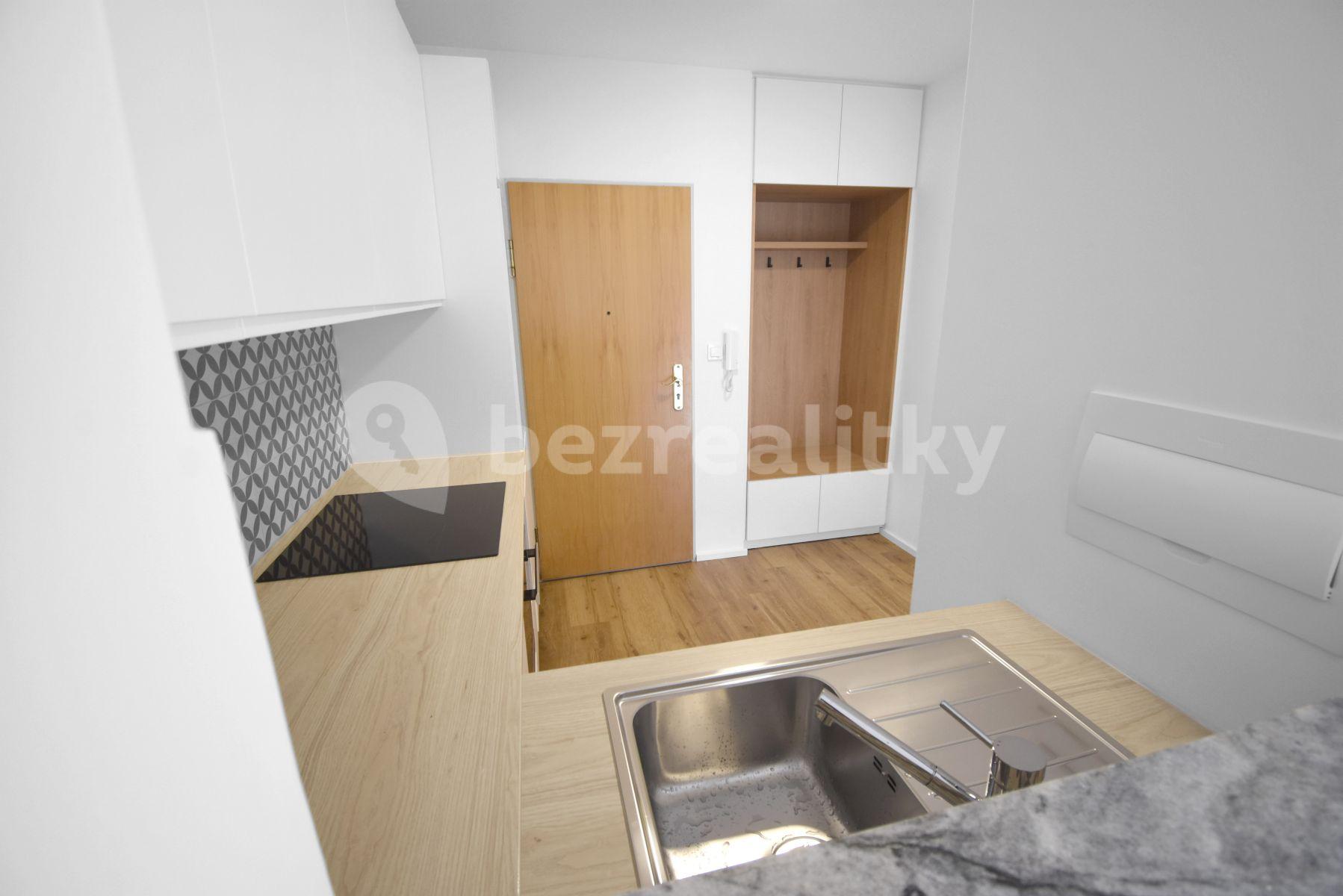 Small studio flat to rent, 50 m², U Vojanky, Prague, Prague