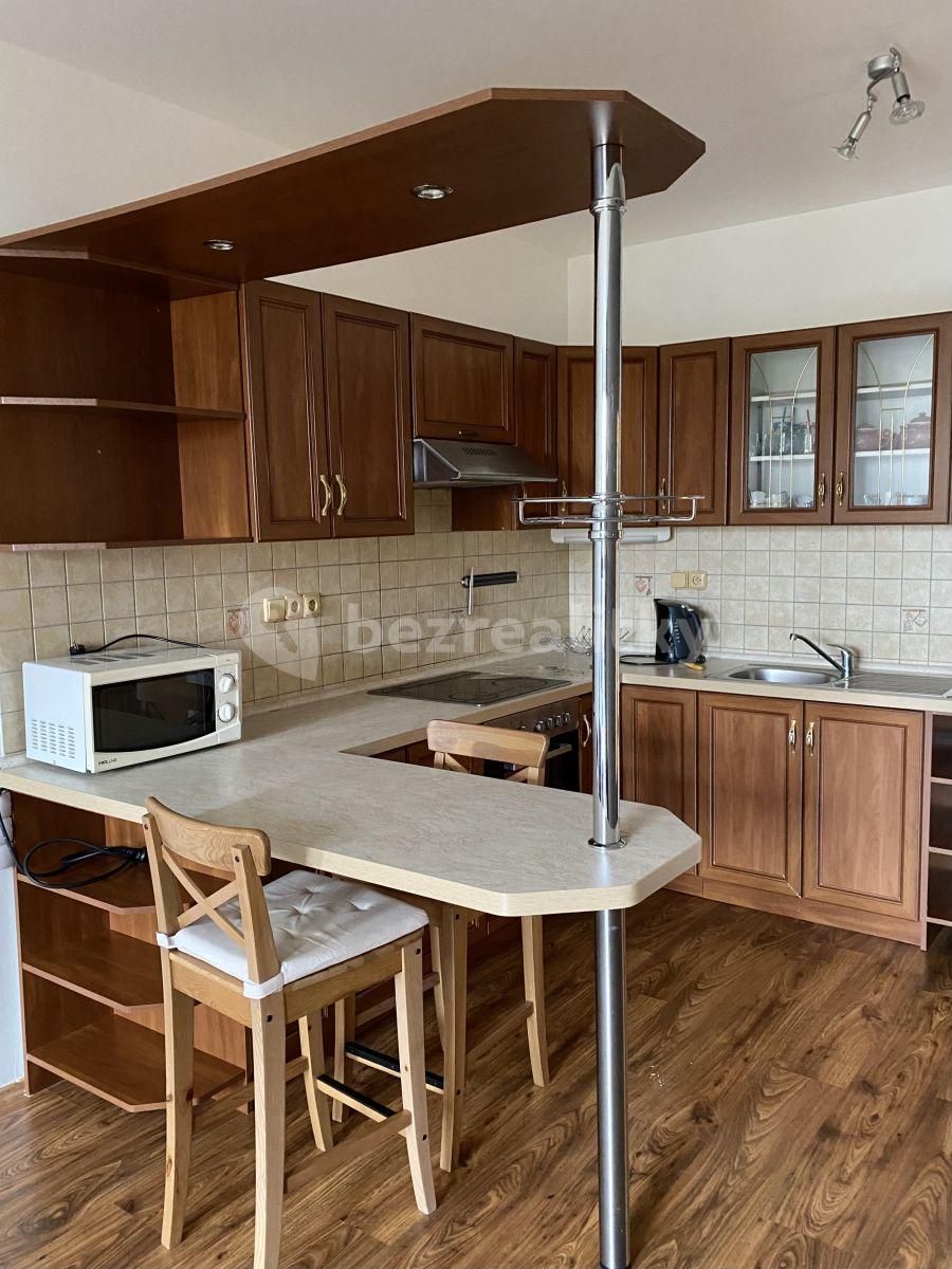 1 bedroom with open-plan kitchen flat to rent, 54 m², Podkovářská, Prague, Prague