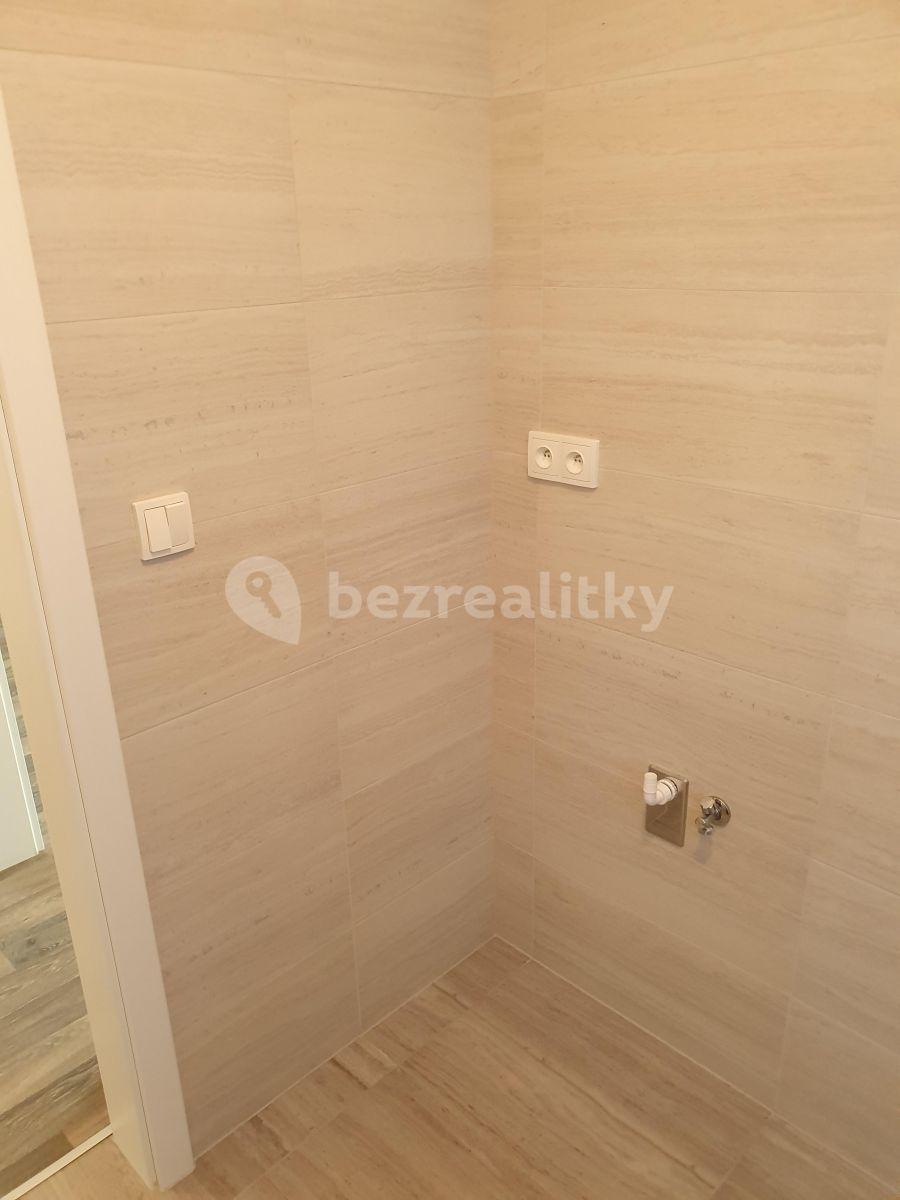 1 bedroom with open-plan kitchen flat to rent, 58 m², U Nisy, Liberec, Liberecký Region