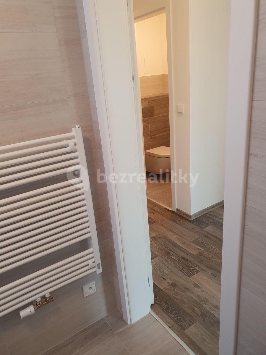 1 bedroom with open-plan kitchen flat to rent, 58 m², U Nisy, Liberec, Liberecký Region