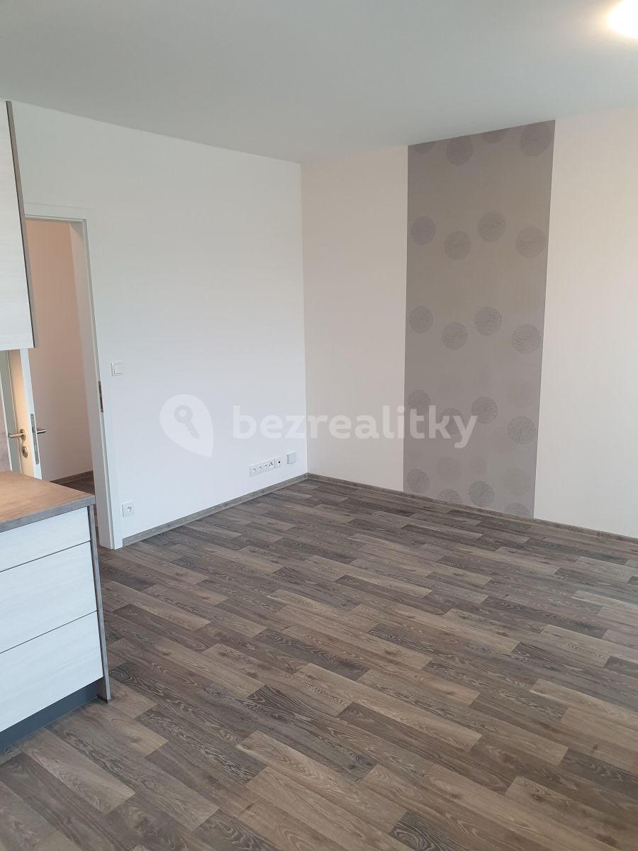 1 bedroom with open-plan kitchen flat to rent, 58 m², U Nisy, Liberec, Liberecký Region