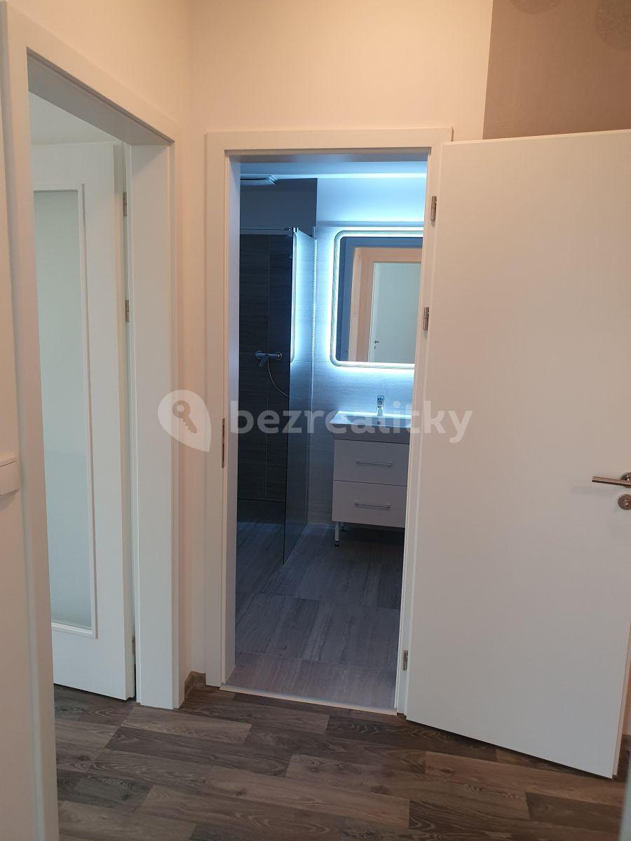 1 bedroom with open-plan kitchen flat to rent, 58 m², U Nisy, Liberec, Liberecký Region