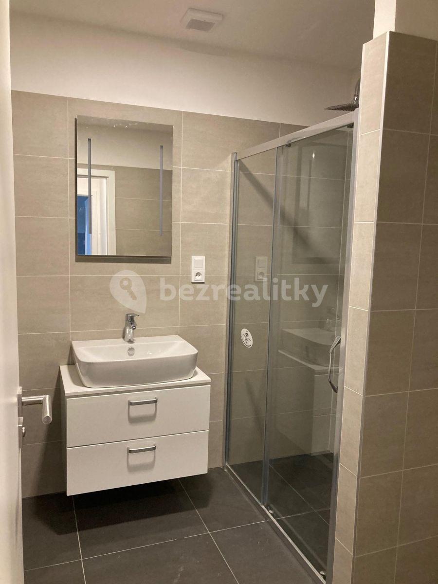 1 bedroom with open-plan kitchen flat to rent, 72 m², Na Radouči, Mladá Boleslav, Středočeský Region