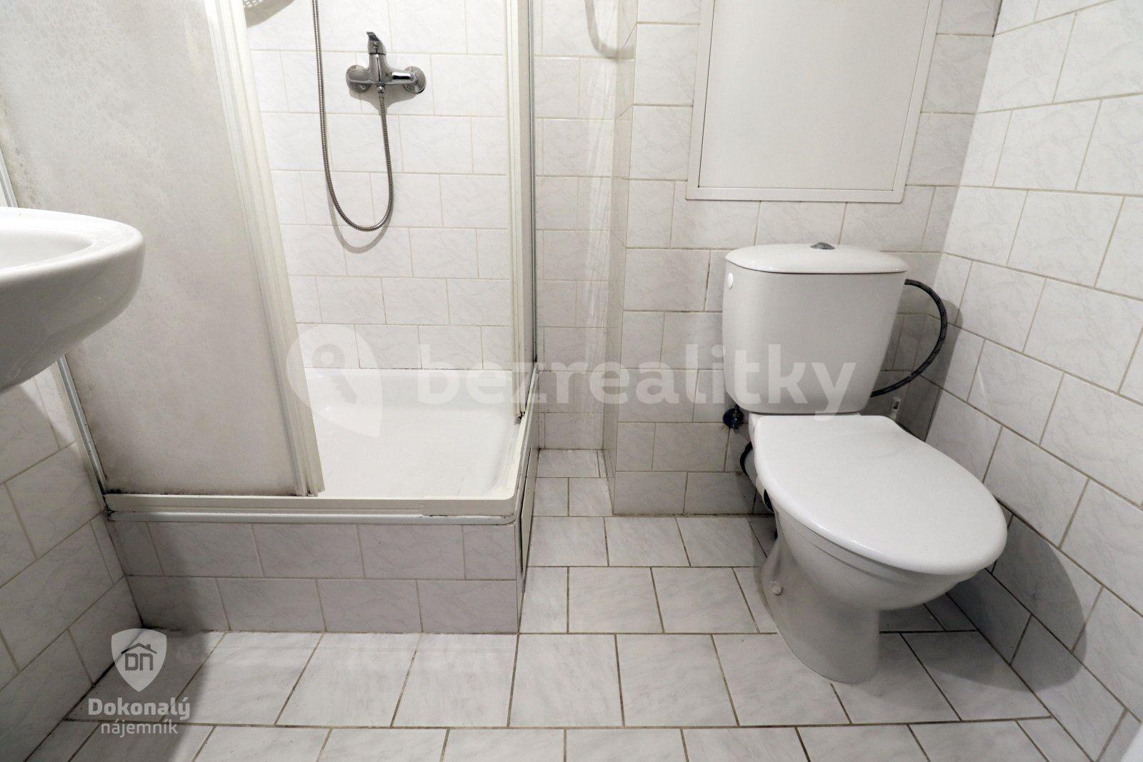 1 bedroom flat to rent, 27 m², Spojovací, Milovice, Středočeský Region