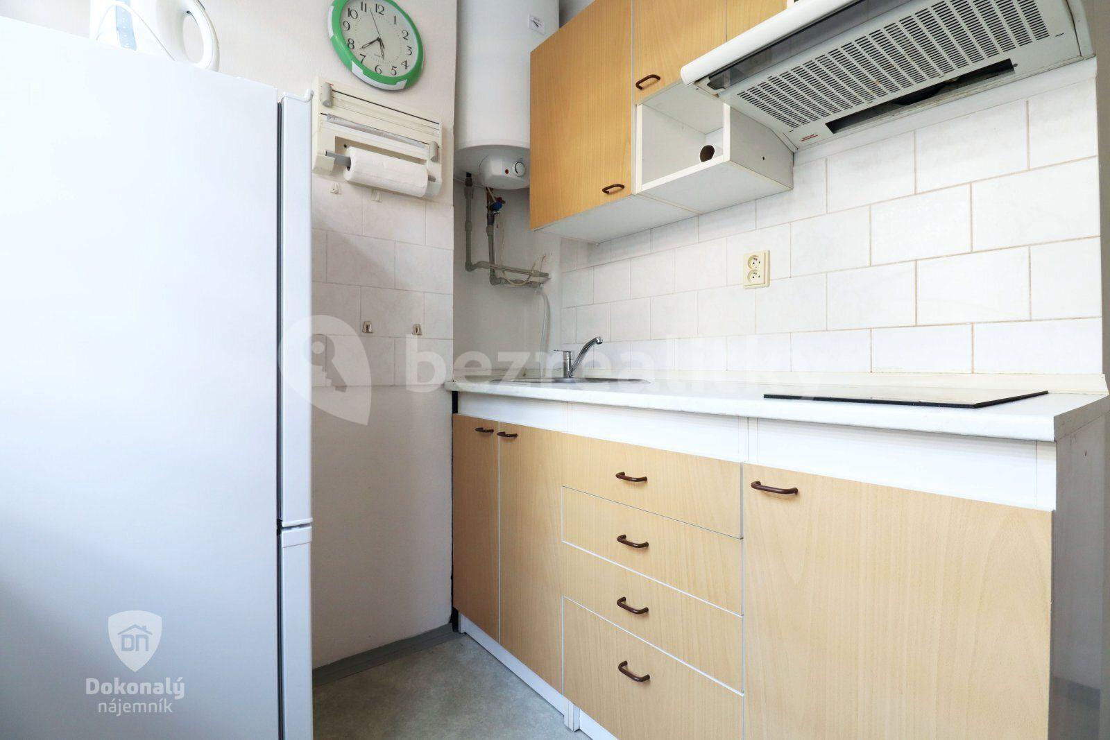 1 bedroom flat to rent, 27 m², Spojovací, Milovice, Středočeský Region