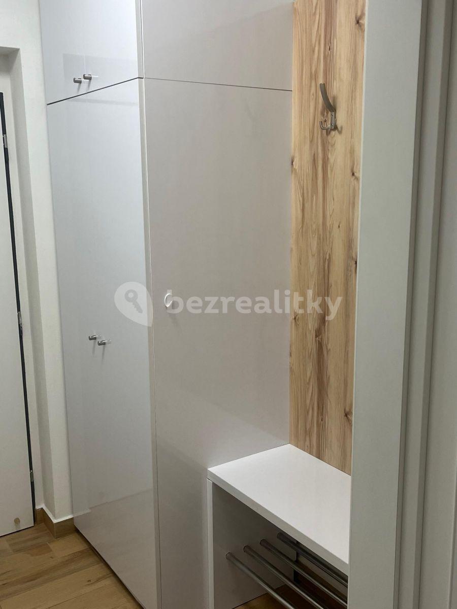 1 bedroom with open-plan kitchen flat to rent, 50 m², Železničního pluku, Pardubice, Pardubický Region