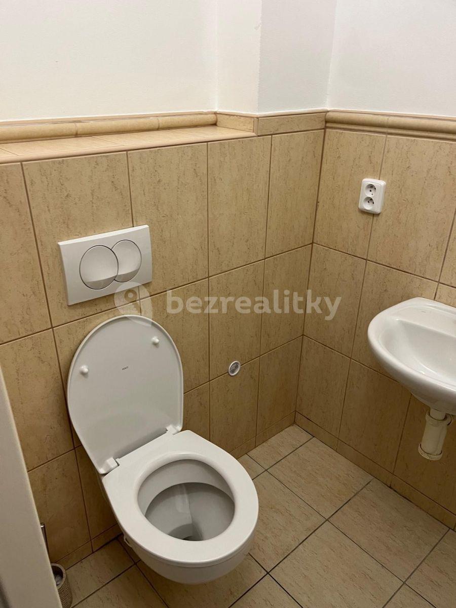 1 bedroom flat to rent, 33 m², Kounická, Prague, Prague