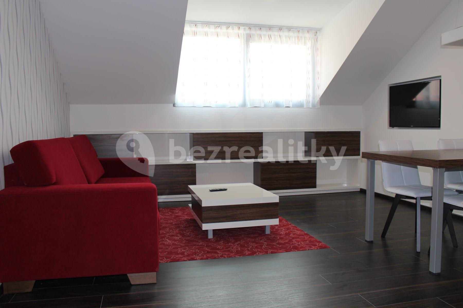 1 bedroom with open-plan kitchen flat to rent, 44 m², Prague, Prague