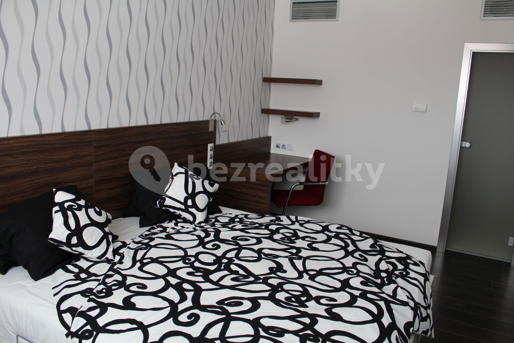 1 bedroom with open-plan kitchen flat to rent, 44 m², Prague, Prague