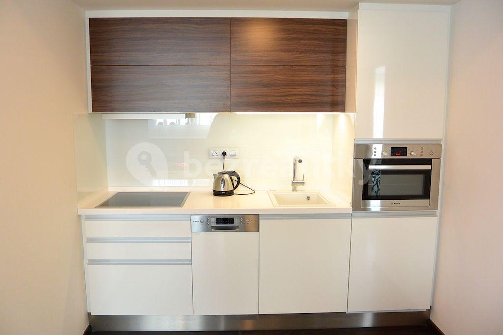 1 bedroom with open-plan kitchen flat to rent, 44 m², Prague, Prague