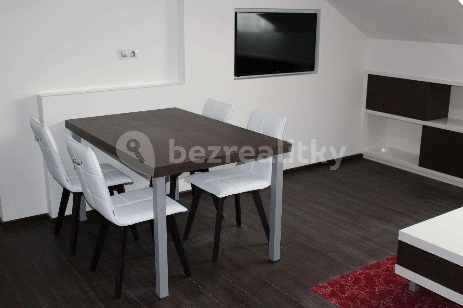 1 bedroom with open-plan kitchen flat to rent, 44 m², Prague, Prague