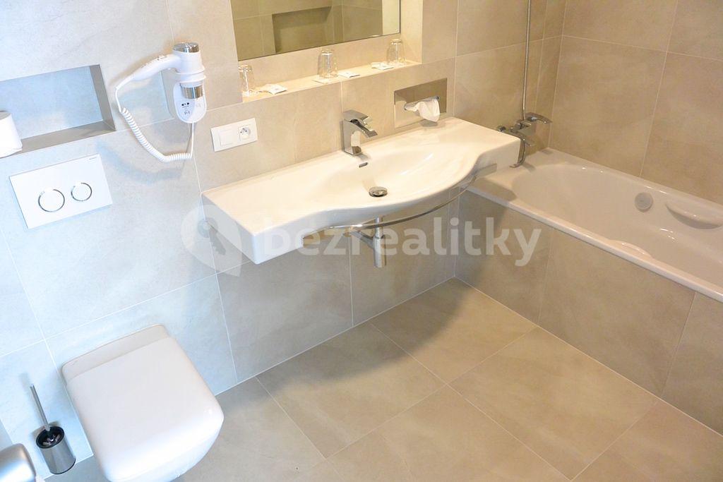 1 bedroom with open-plan kitchen flat to rent, 44 m², Prague, Prague