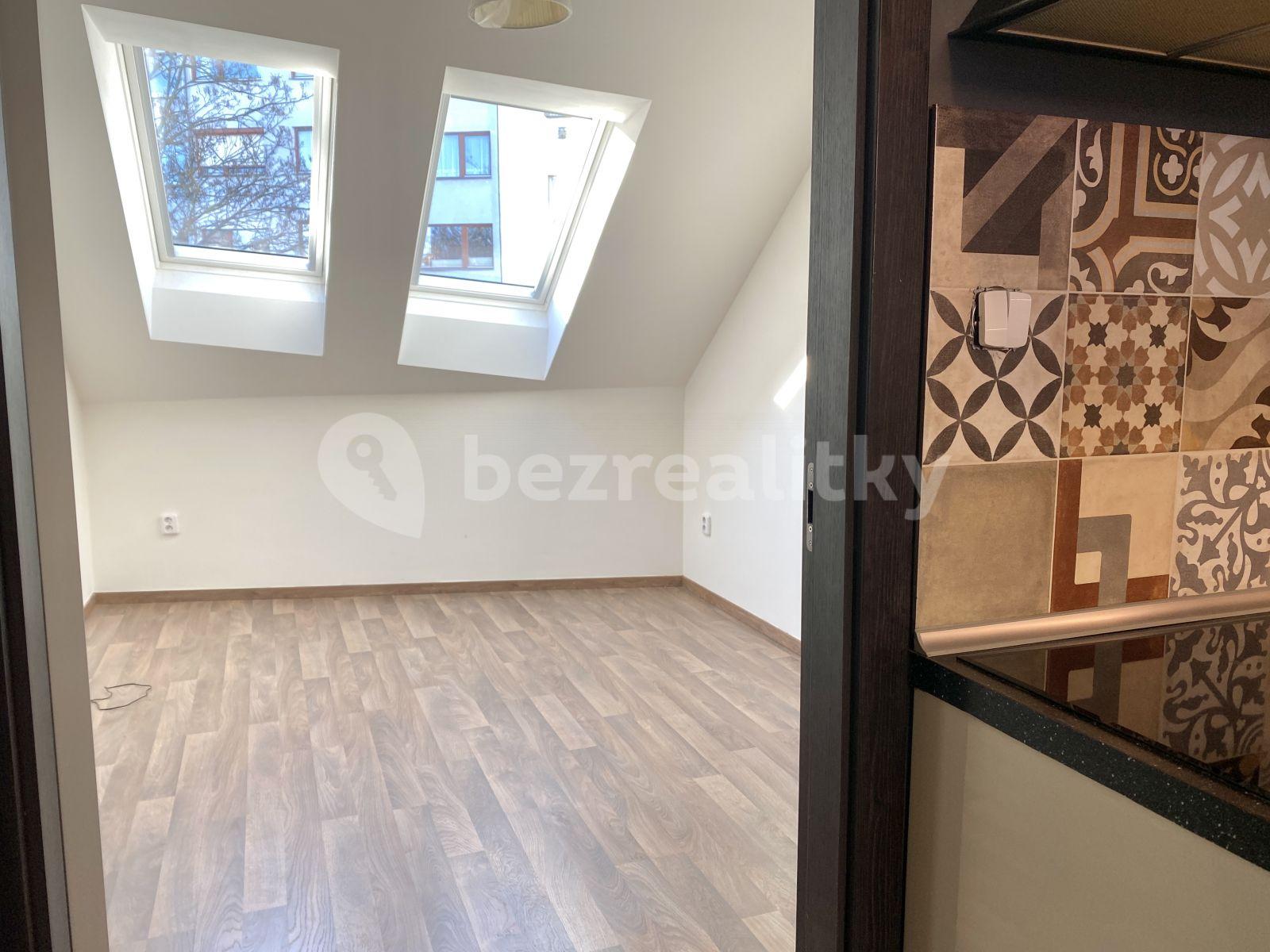 1 bedroom with open-plan kitchen flat to rent, 48 m², Slavojova, Prague, Prague