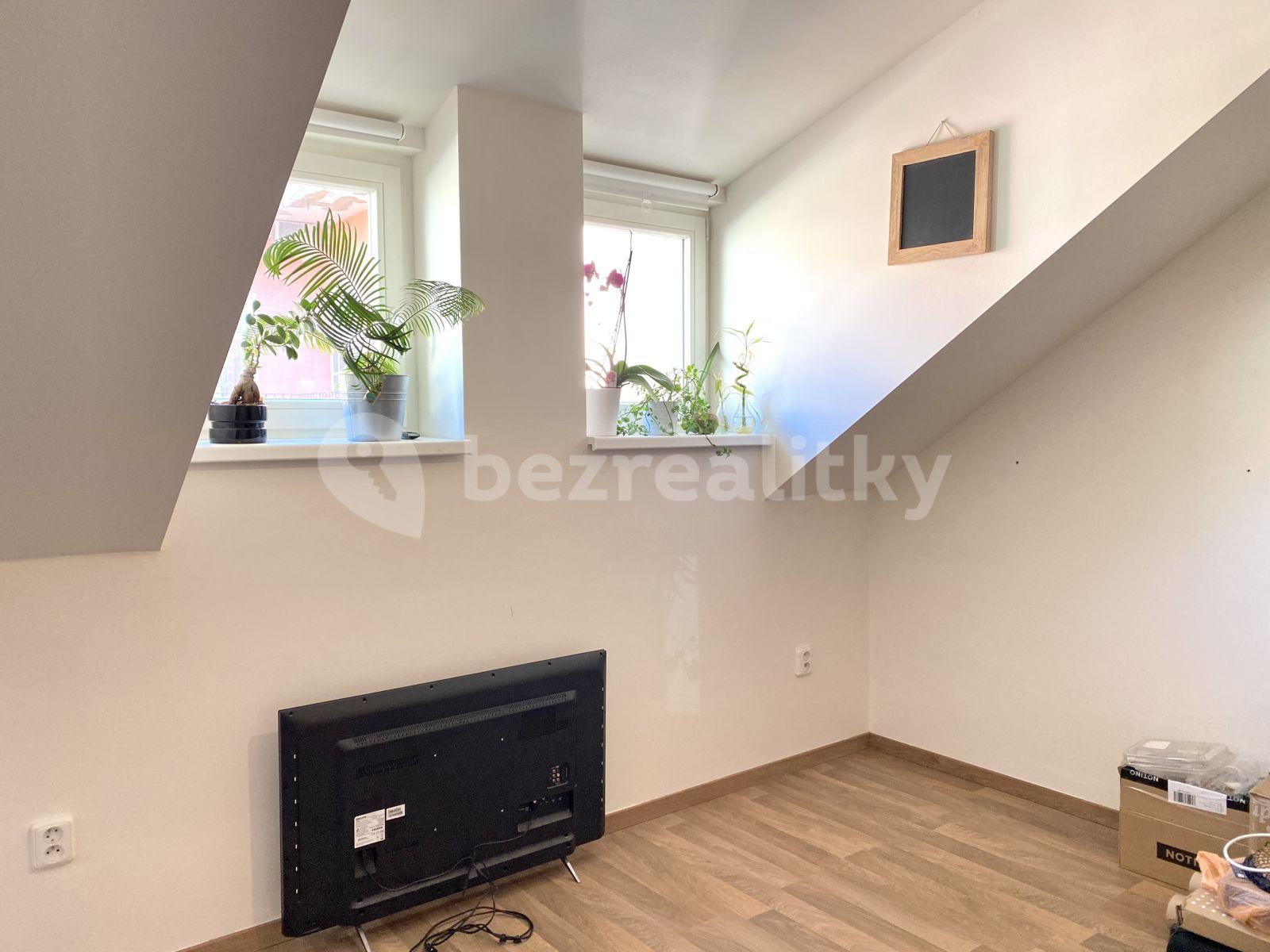 1 bedroom with open-plan kitchen flat to rent, 48 m², Slavojova, Prague, Prague