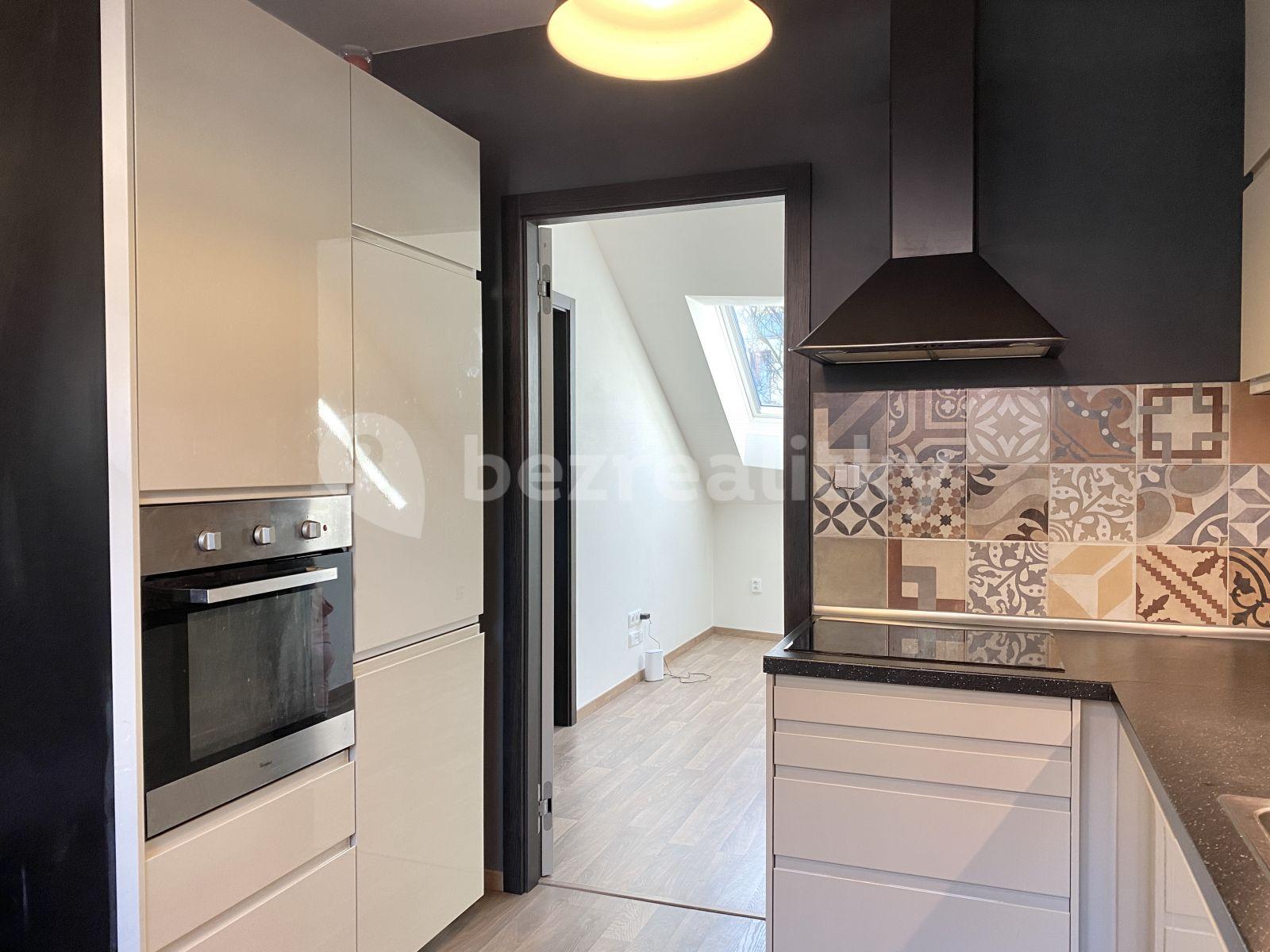 1 bedroom with open-plan kitchen flat to rent, 48 m², Slavojova, Prague, Prague