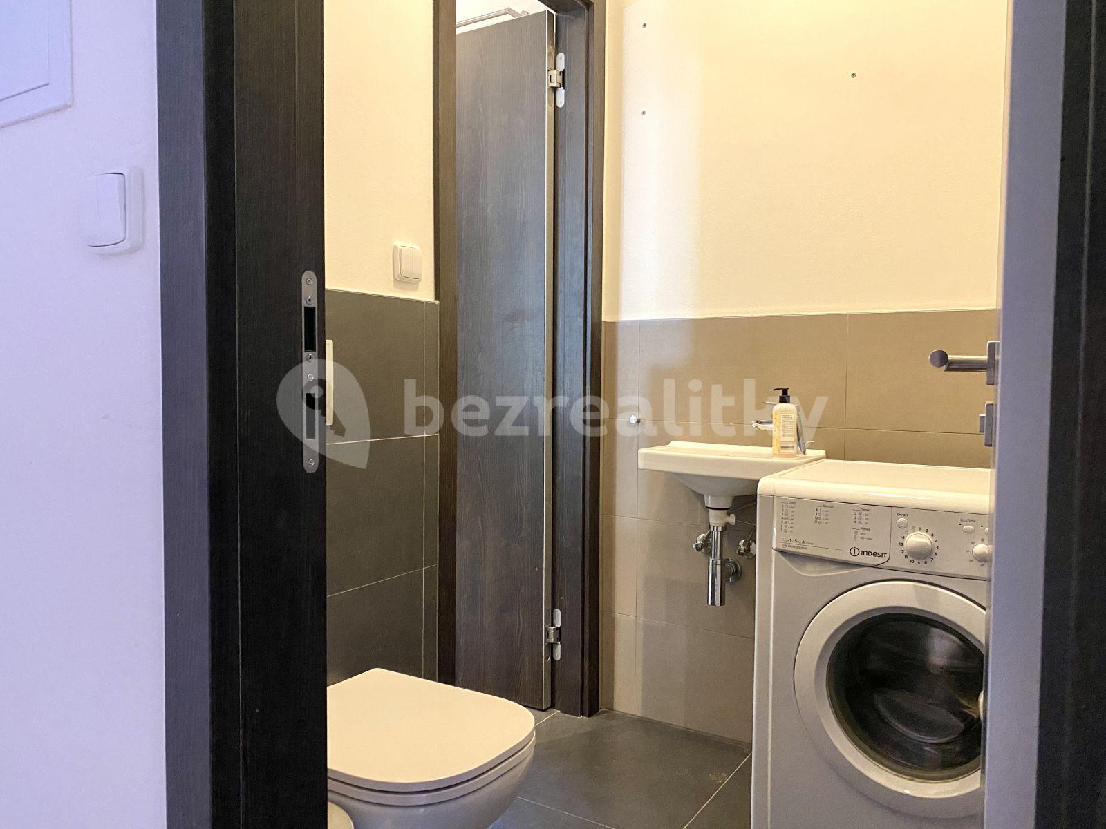 1 bedroom with open-plan kitchen flat to rent, 48 m², Slavojova, Prague, Prague