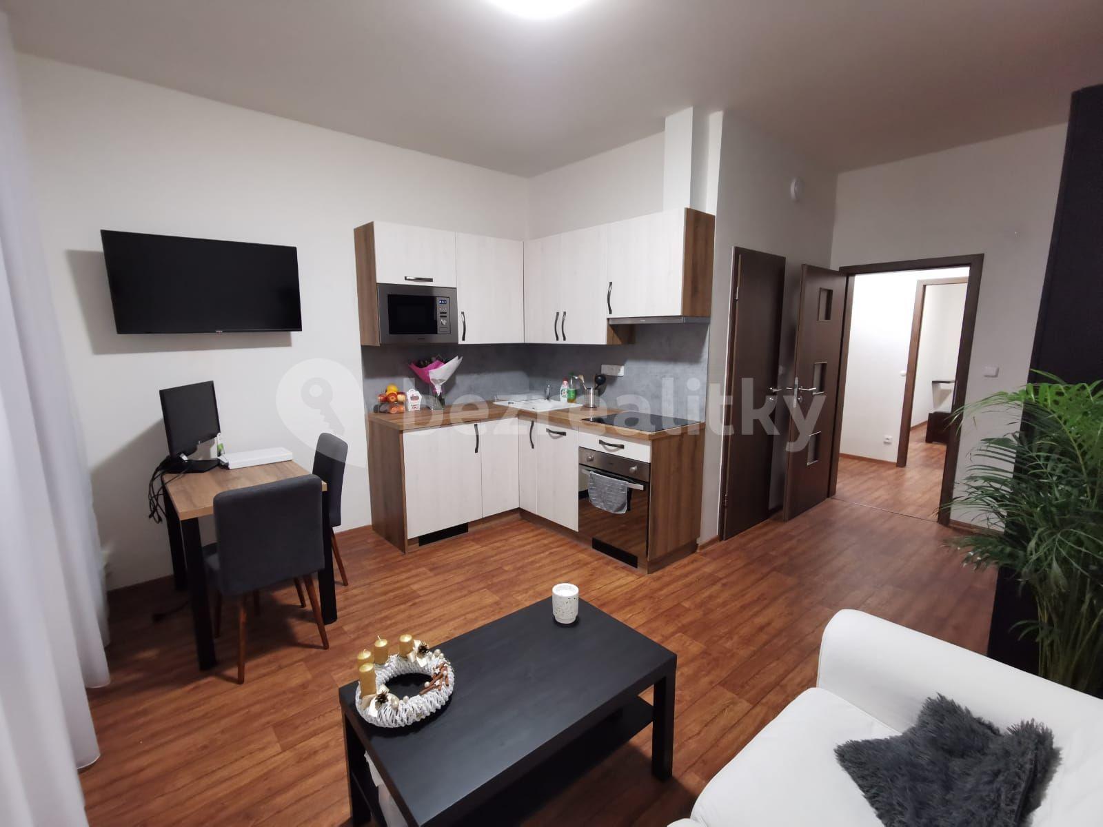 1 bedroom with open-plan kitchen flat to rent, 35 m², Otakarova, České Budějovice, Jihočeský Region