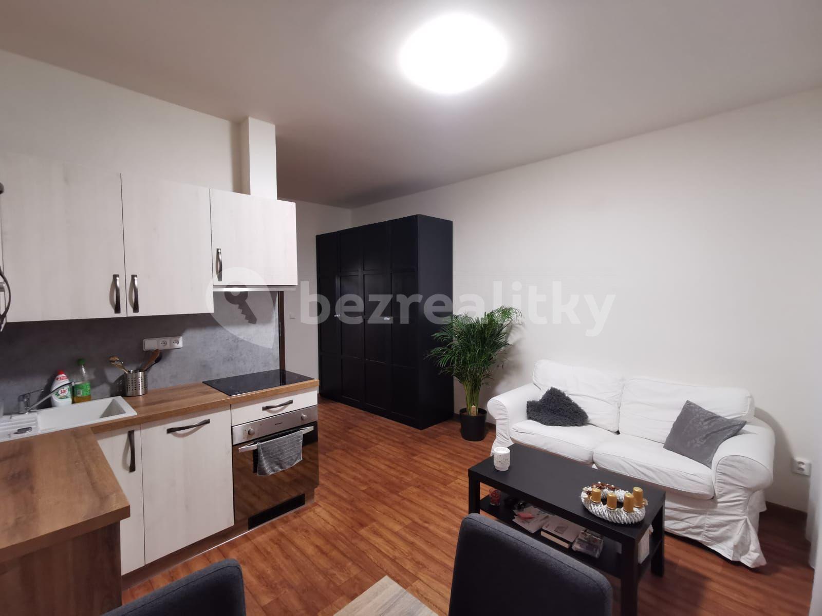 1 bedroom with open-plan kitchen flat to rent, 35 m², Otakarova, České Budějovice, Jihočeský Region