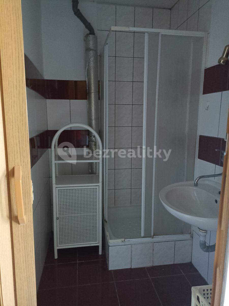 Studio flat to rent, 32 m², Záryby, Středočeský Region