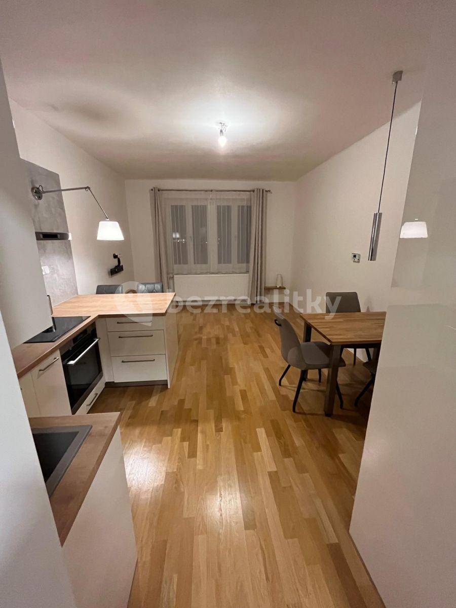 1 bedroom with open-plan kitchen flat to rent, 47 m², Kouřimská, Prague, Prague