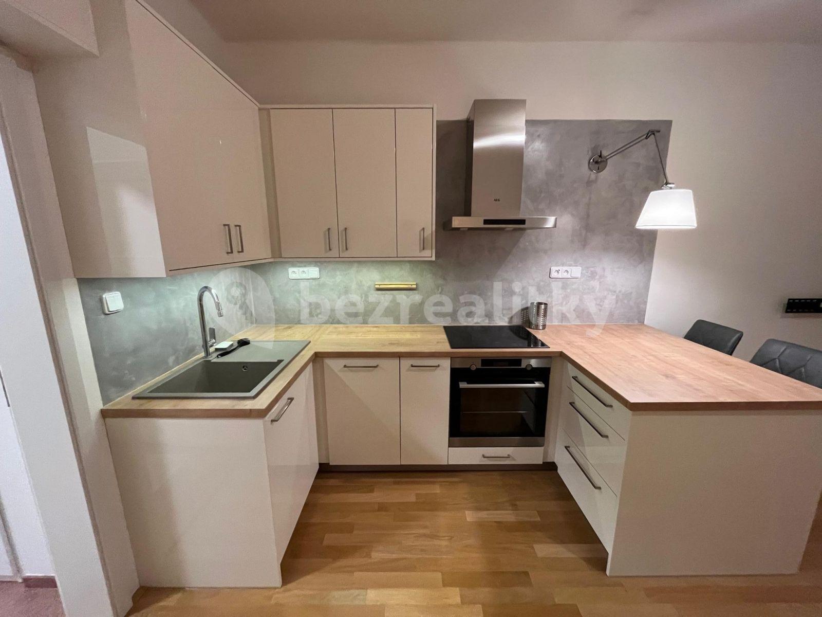 1 bedroom with open-plan kitchen flat to rent, 47 m², Kouřimská, Prague, Prague