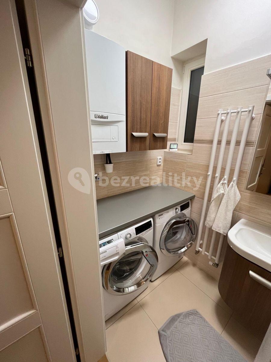 1 bedroom with open-plan kitchen flat to rent, 47 m², Kouřimská, Prague, Prague