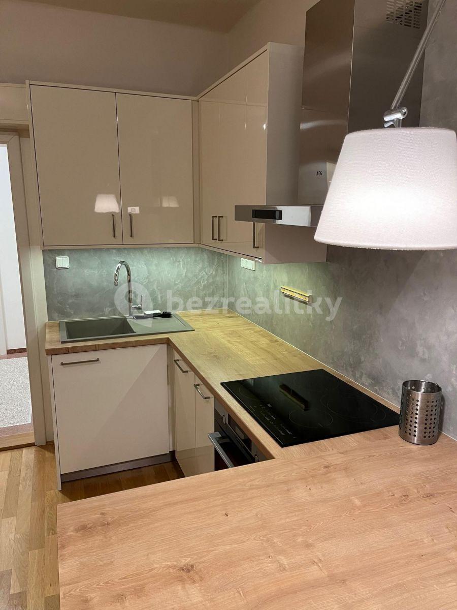 1 bedroom with open-plan kitchen flat to rent, 47 m², Kouřimská, Prague, Prague