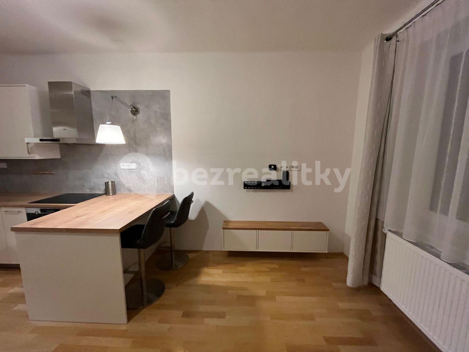 1 bedroom with open-plan kitchen flat to rent, 47 m², Kouřimská, Prague, Prague