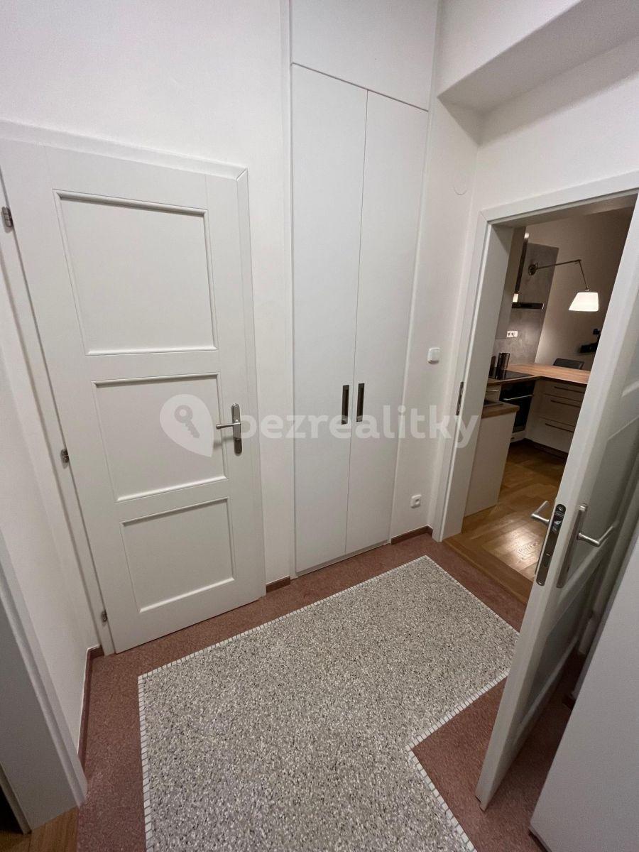 1 bedroom with open-plan kitchen flat to rent, 47 m², Kouřimská, Prague, Prague