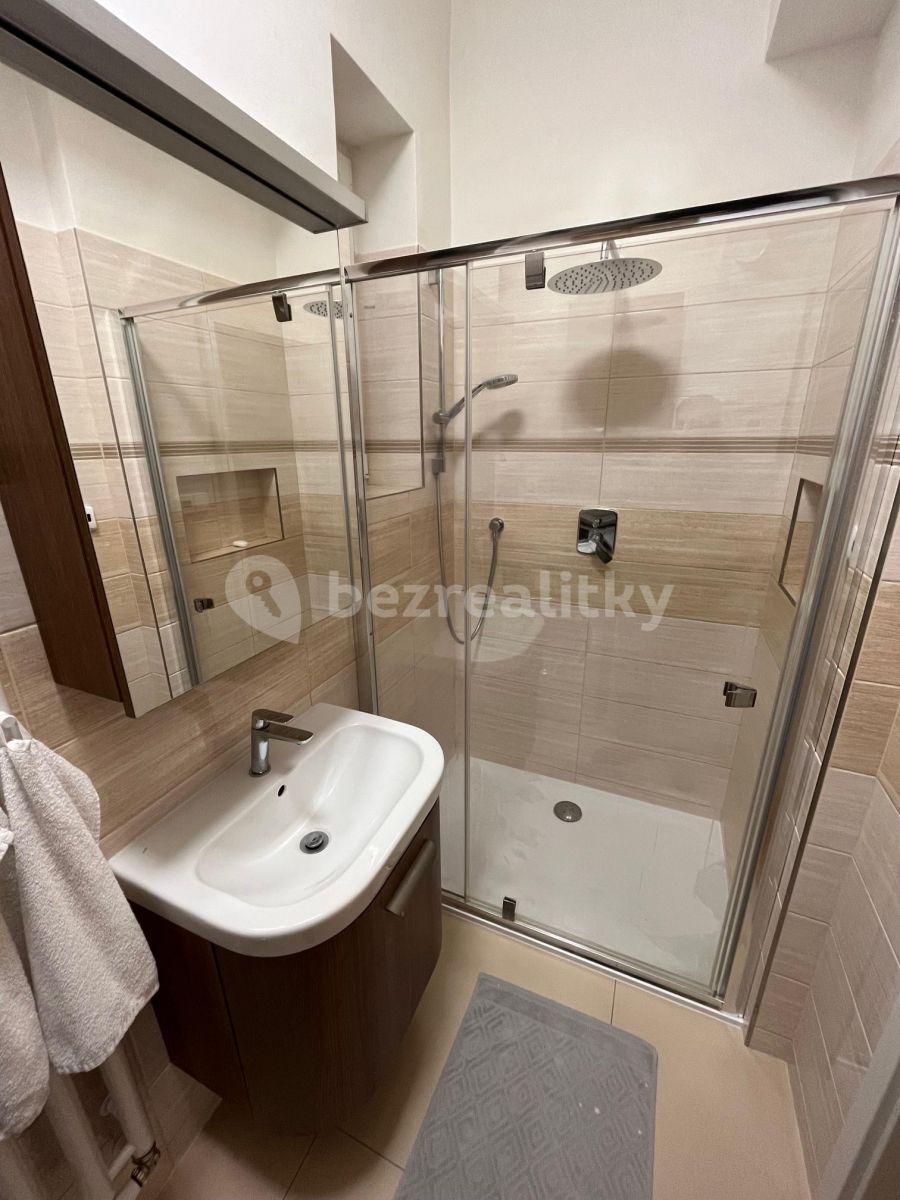 1 bedroom with open-plan kitchen flat to rent, 47 m², Kouřimská, Prague, Prague