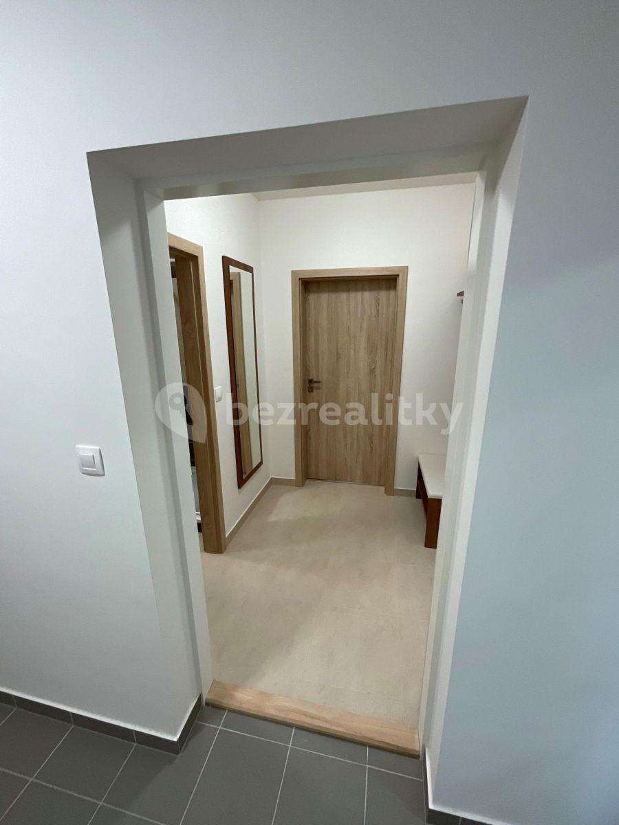 Studio flat to rent, 40 m², Jihlava, Vysočina Region