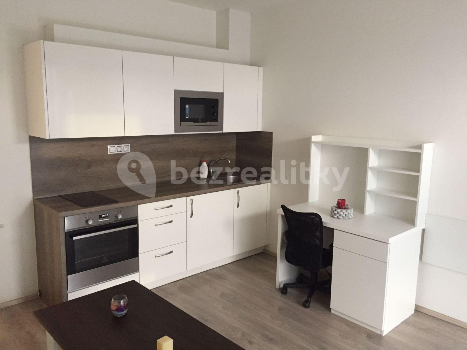 Studio flat to rent, 28 m², Technická, Plzeň, Plzeňský Region