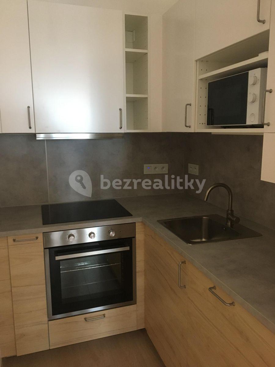 1 bedroom with open-plan kitchen flat to rent, 56 m², Františka Diviše, Prague, Prague