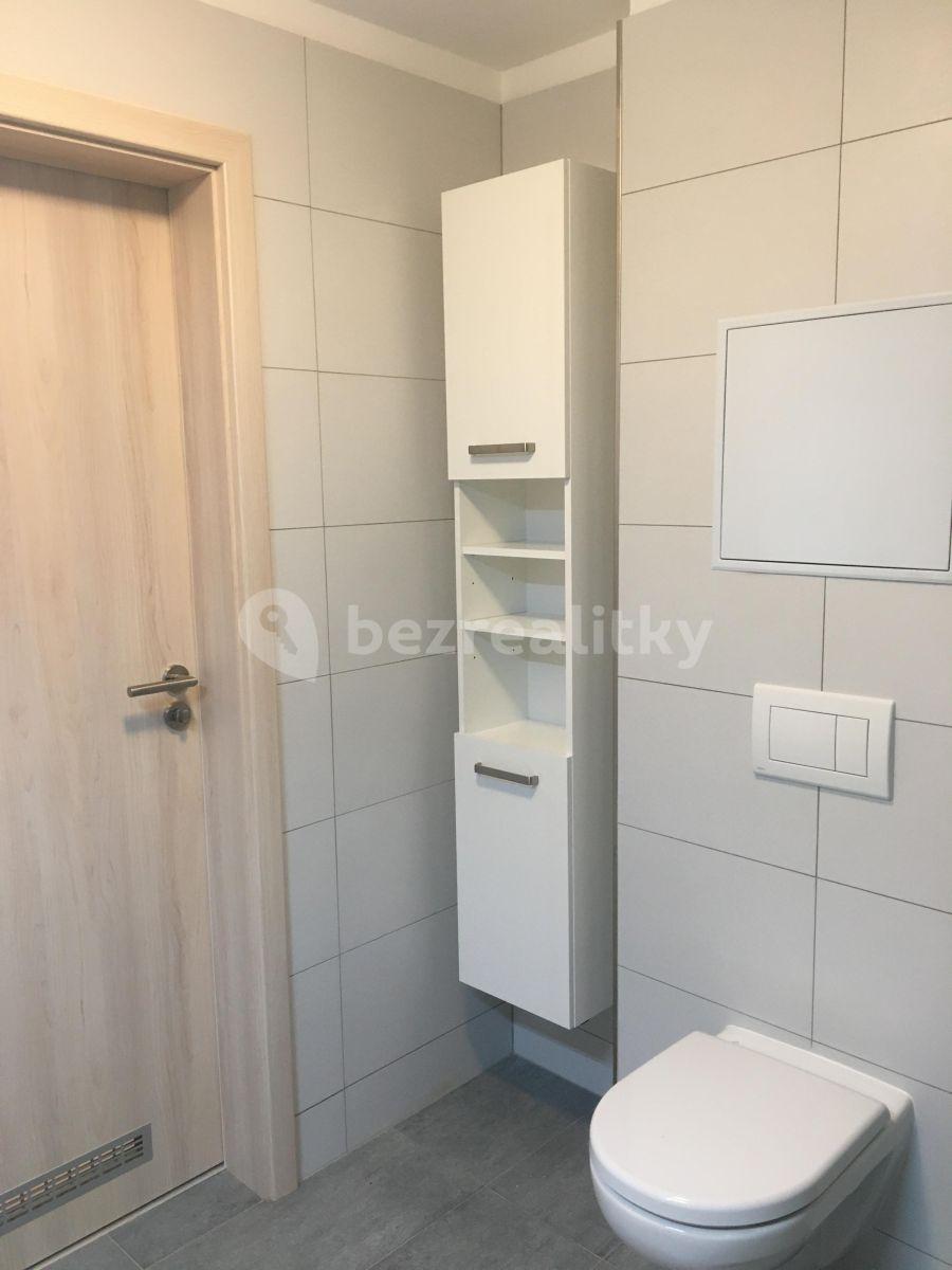 1 bedroom with open-plan kitchen flat to rent, 56 m², Františka Diviše, Prague, Prague