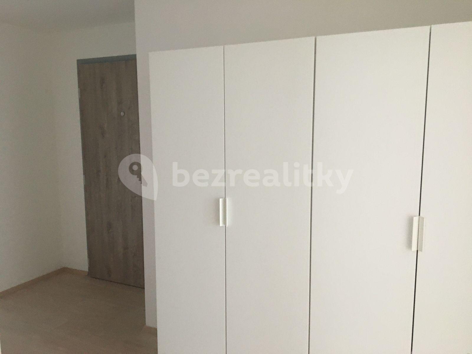 1 bedroom with open-plan kitchen flat to rent, 56 m², Františka Diviše, Prague, Prague