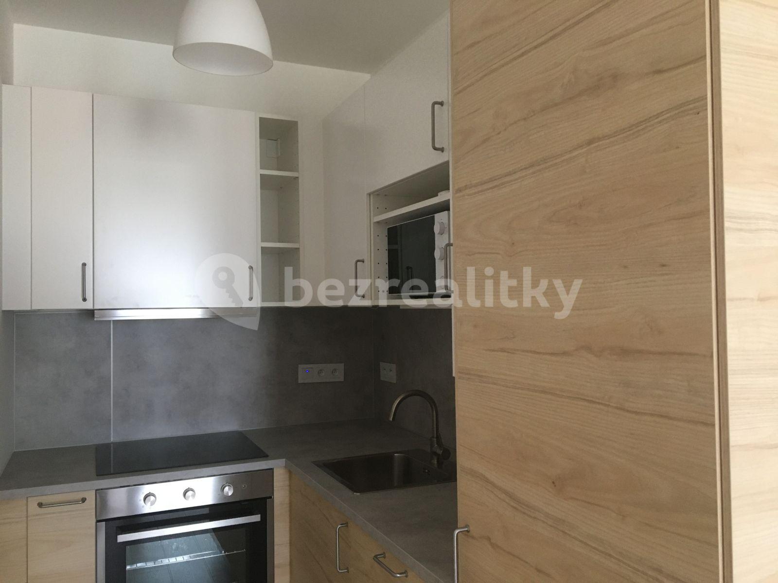 1 bedroom with open-plan kitchen flat to rent, 56 m², Františka Diviše, Prague, Prague