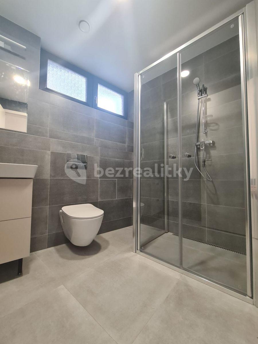 Studio flat to rent, 35 m², Prague, Prague