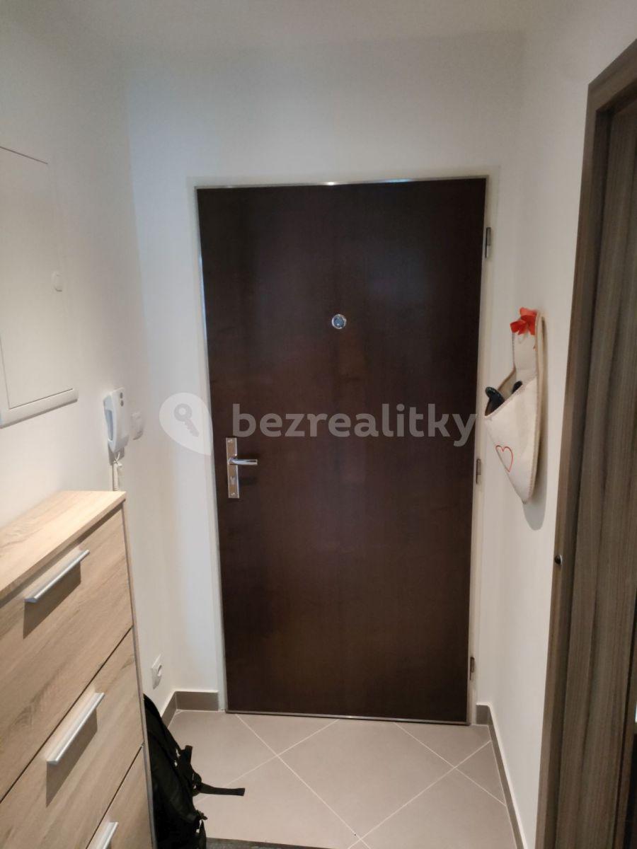 1 bedroom with open-plan kitchen flat to rent, 53 m², Hlučkova, Prague, Prague