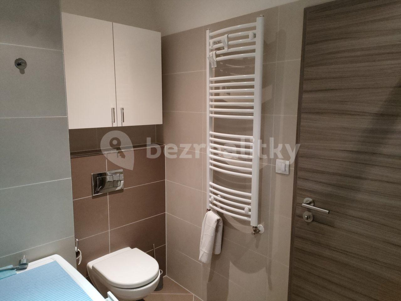 1 bedroom with open-plan kitchen flat to rent, 53 m², Hlučkova, Prague, Prague