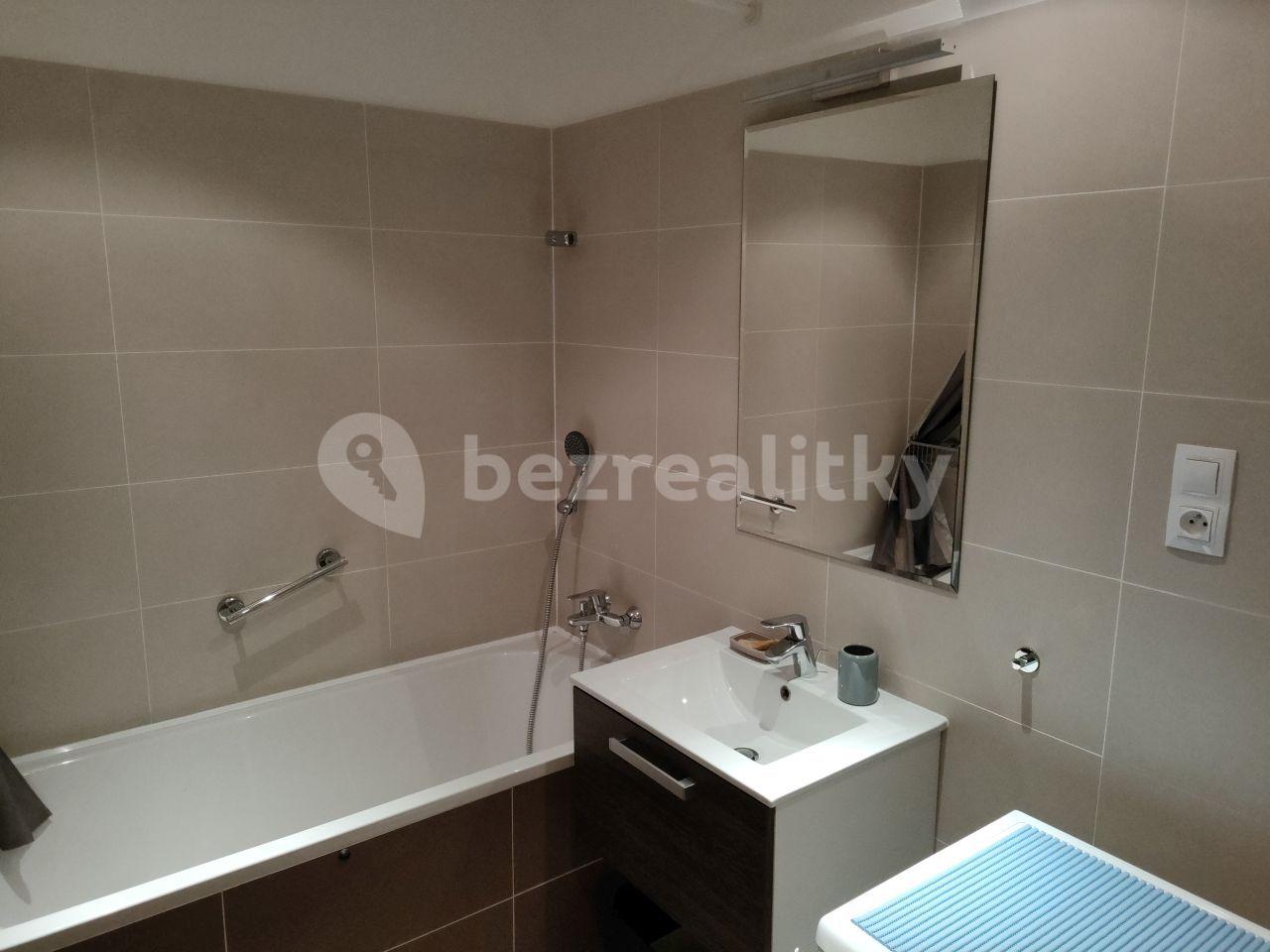 1 bedroom with open-plan kitchen flat to rent, 53 m², Hlučkova, Prague, Prague