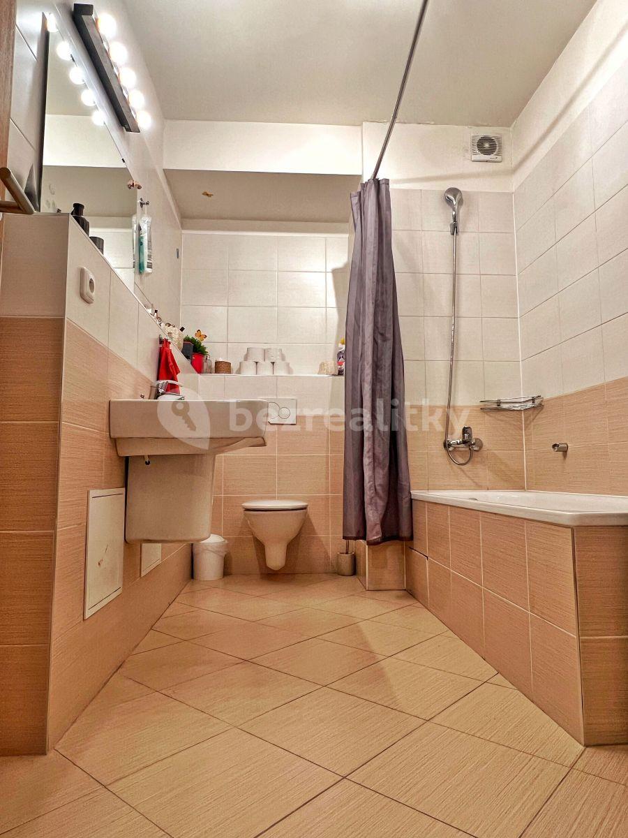 1 bedroom with open-plan kitchen flat to rent, 60 m², Zakšínská, Prague, Prague