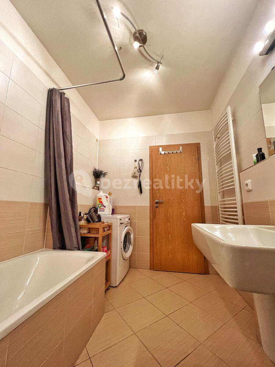 1 bedroom with open-plan kitchen flat to rent, 60 m², Zakšínská, Prague, Prague