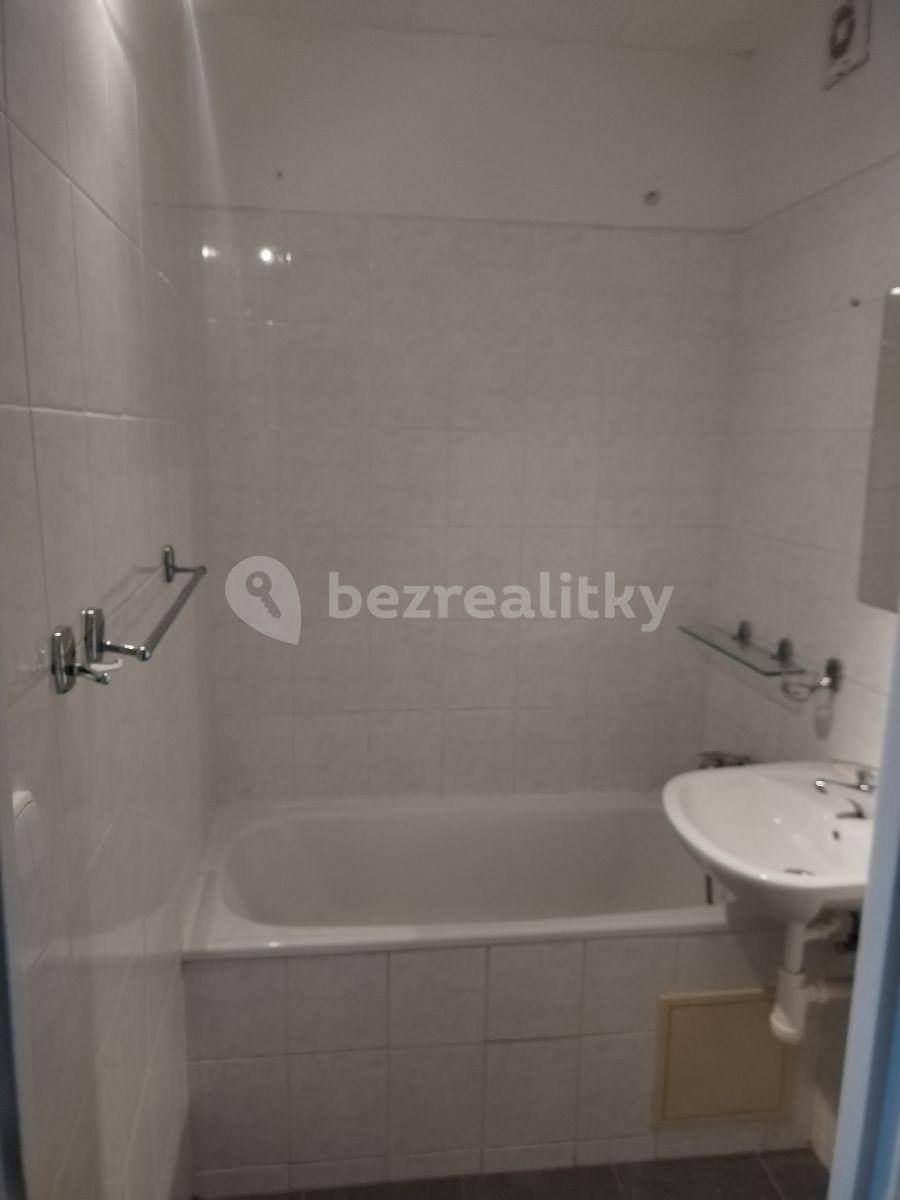 1 bedroom with open-plan kitchen flat to rent, 48 m², Řitka, Středočeský Region