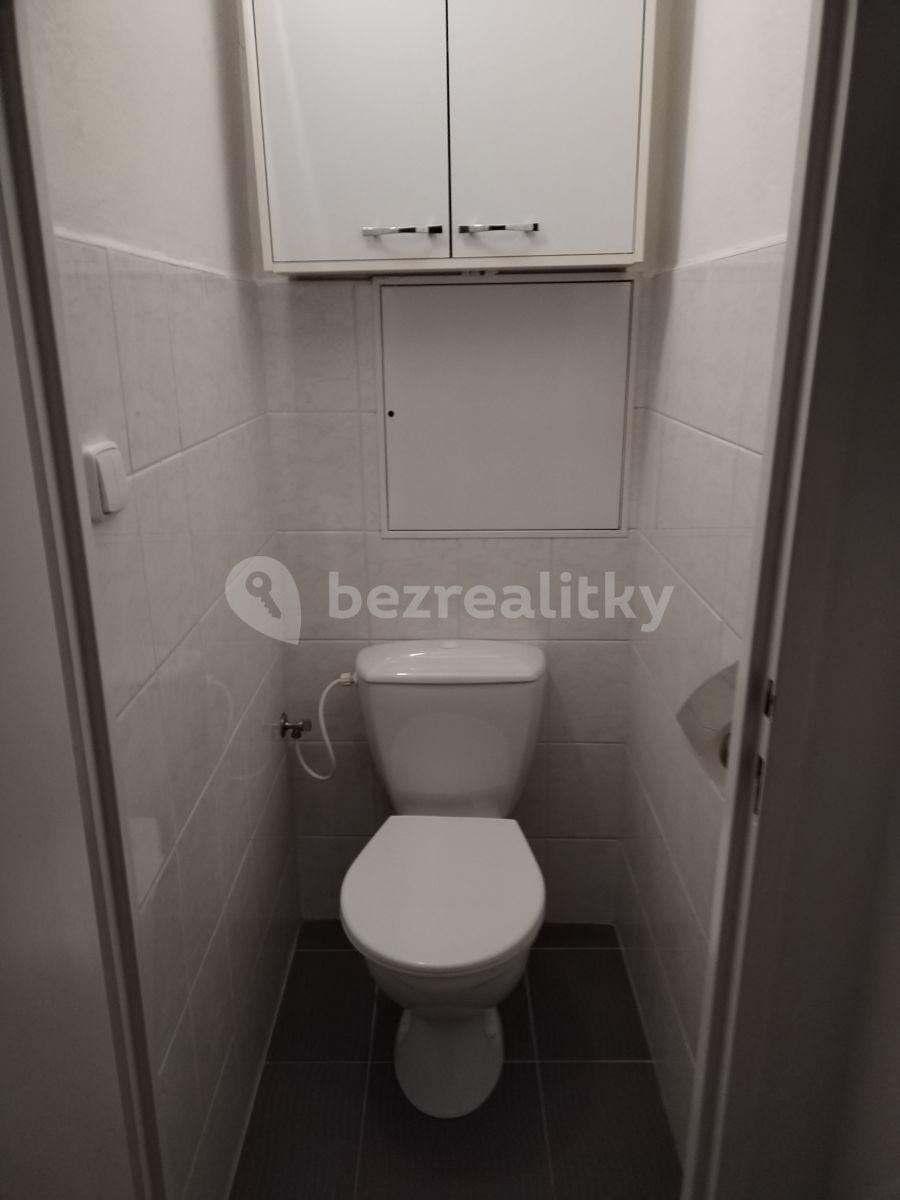 1 bedroom with open-plan kitchen flat to rent, 48 m², Řitka, Středočeský Region