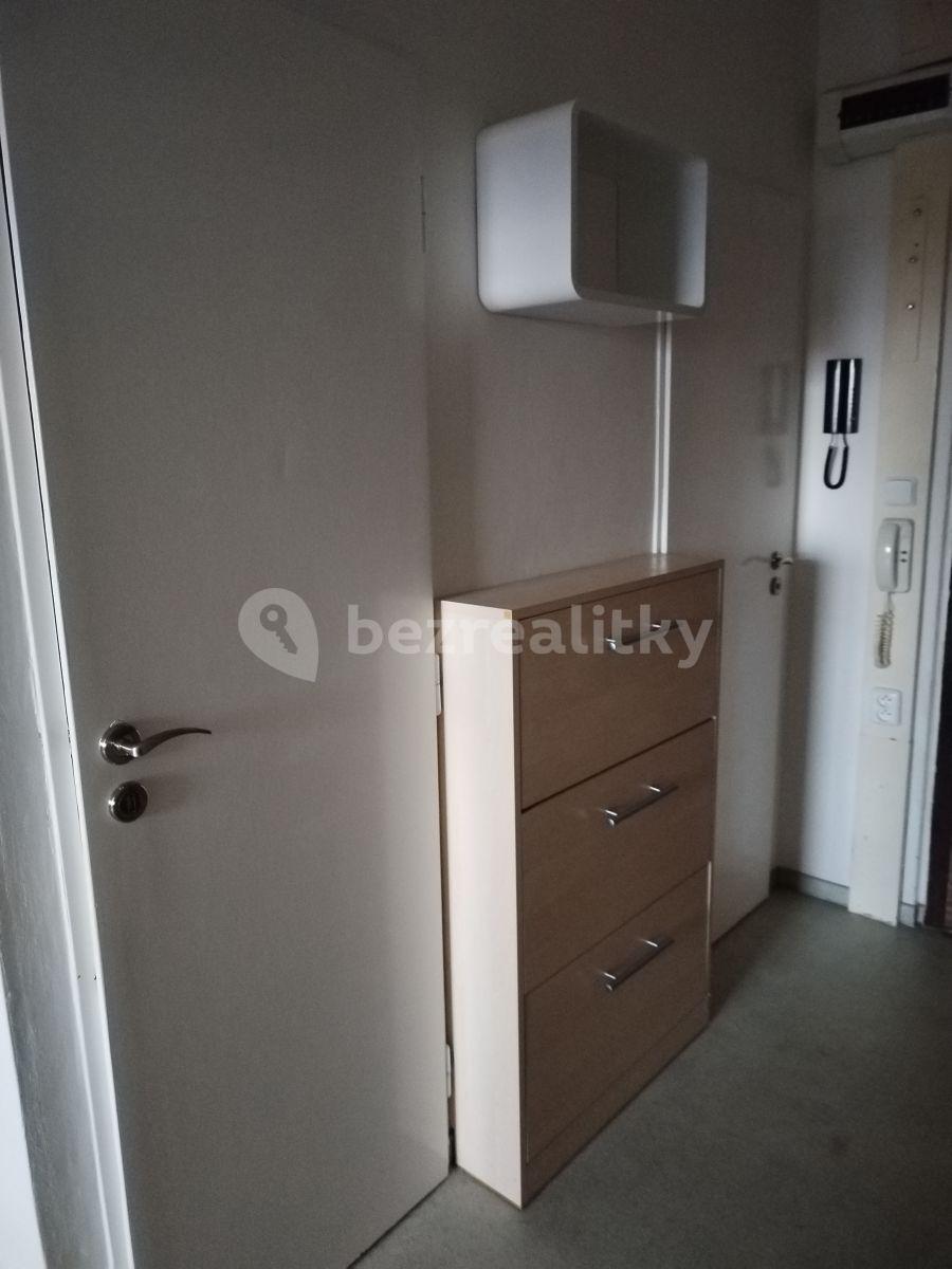 1 bedroom with open-plan kitchen flat to rent, 48 m², Řitka, Středočeský Region