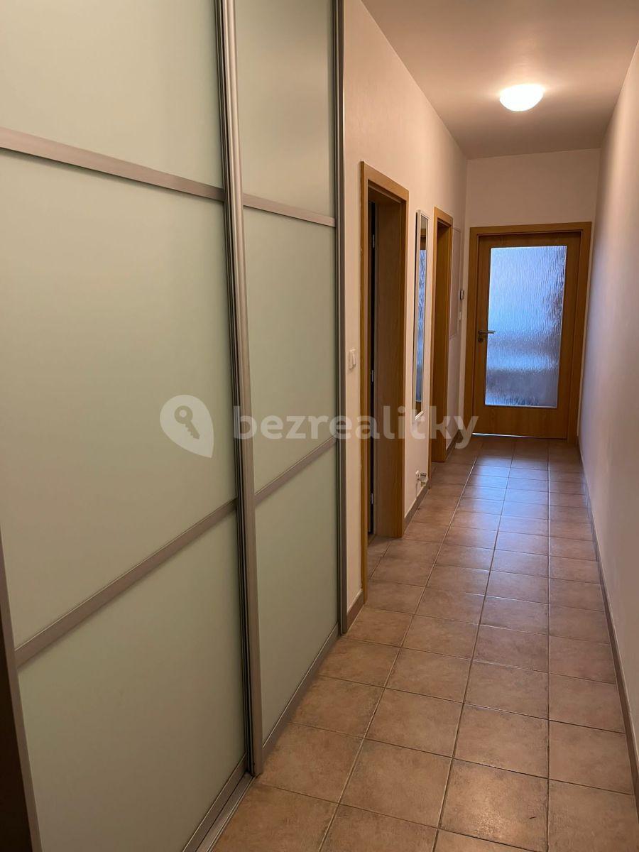 1 bedroom with open-plan kitchen flat to rent, 62 m², Podle Náhonu, Prague, Prague