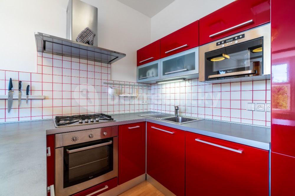 1 bedroom with open-plan kitchen flat to rent, 57 m², Matoušova, Prague, Prague