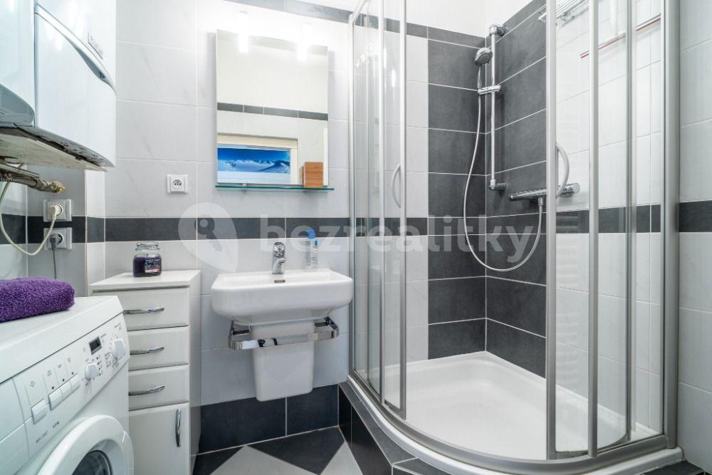 1 bedroom with open-plan kitchen flat to rent, 57 m², Matoušova, Prague, Prague